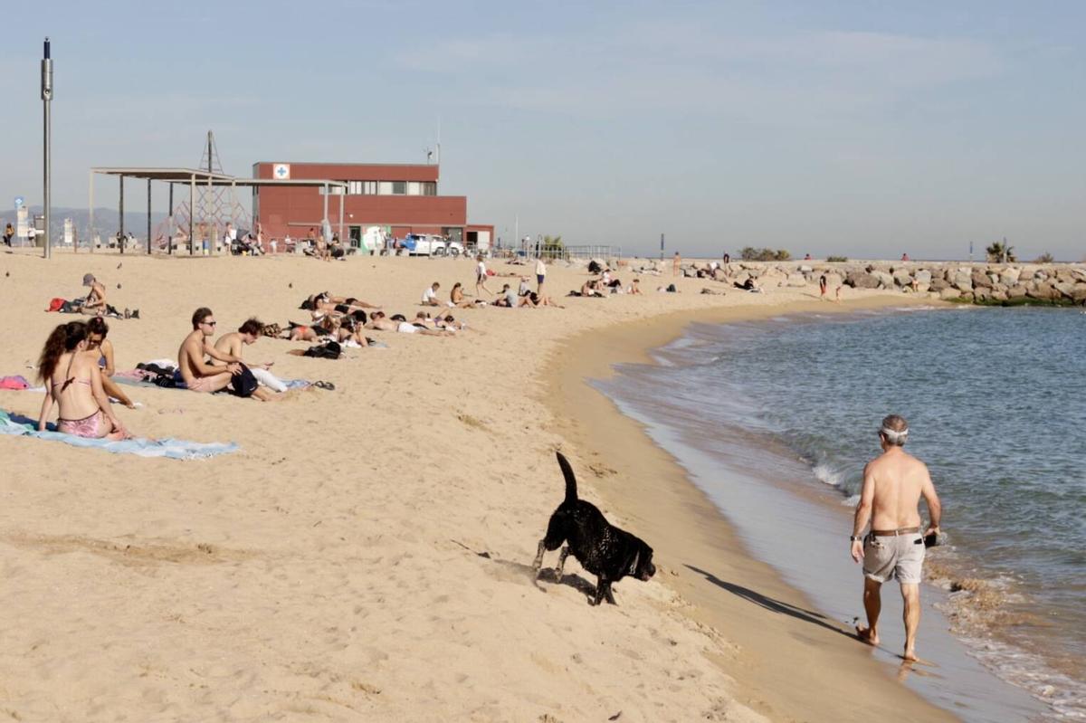 Barceloneses acuden a la playa por las altas temperaturas de noviembre