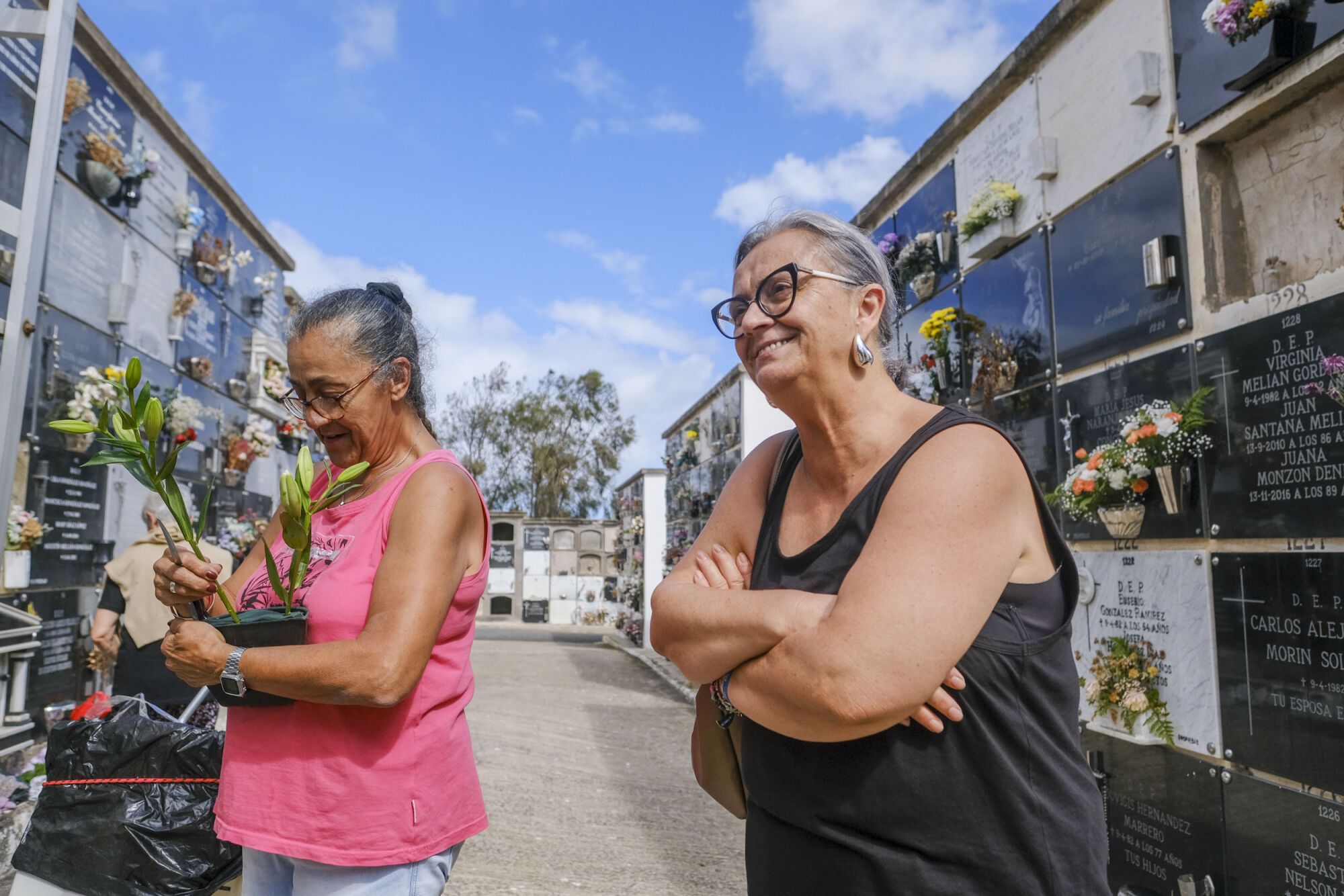 El cementerio de San Lázaro se prepara para el Día de Todos los Santos