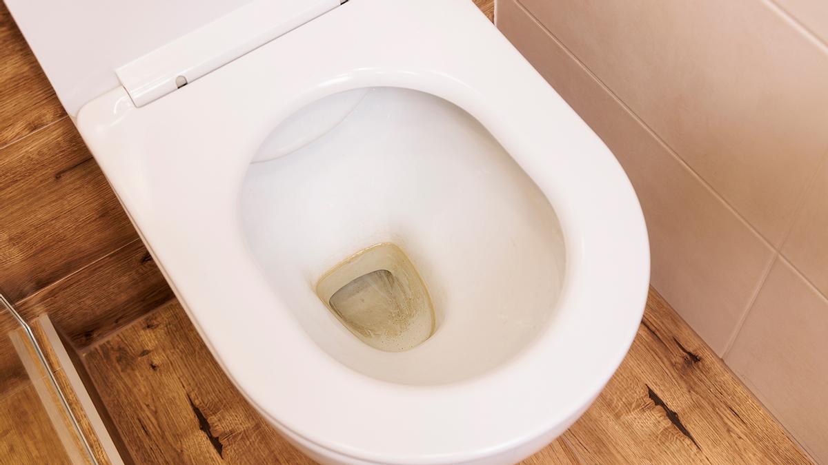 Pastillas caseras para desinfectar el WC 