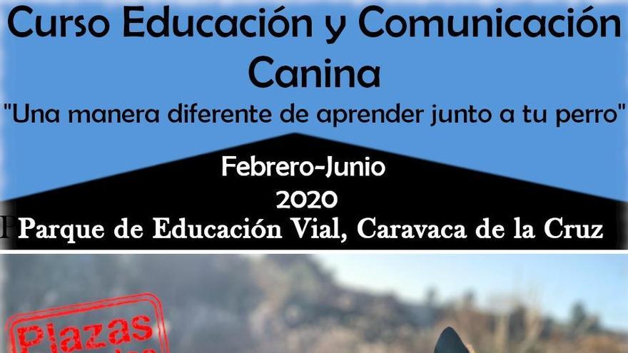 Caravaca acoge el I Curso de Educación y Comunicación Canina