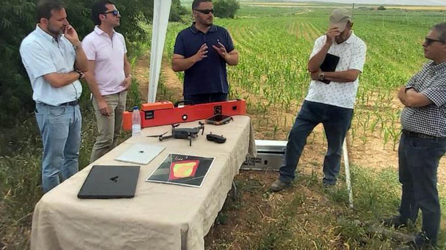 Proyecto de mejora climática inteligente, en el que participa el Instituto Tecnológico Agrario de Castilla y León (Itacyl).