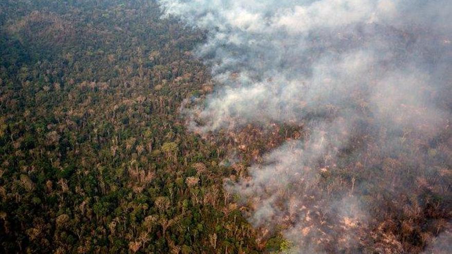 La deforestación en Amazonia brasileña alcanza su mayor nivel en una década