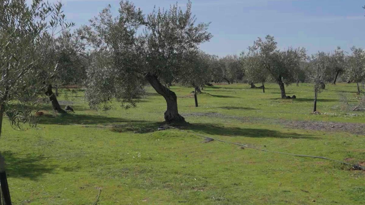 Las ayudas a la agricultura y ganadería ecológica apoyan a productores.