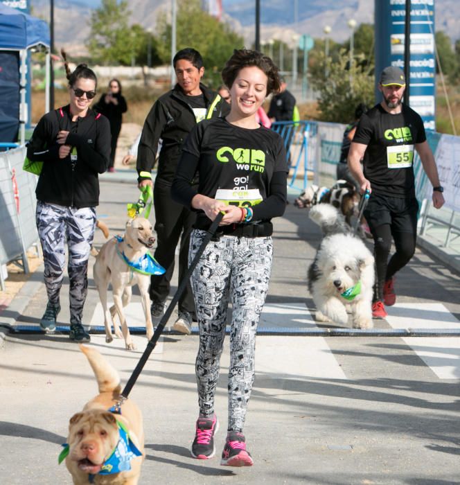 Can We Run: Gran carrera de perros para la concienciación animal