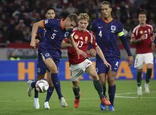 Dumfries salva a Koeman