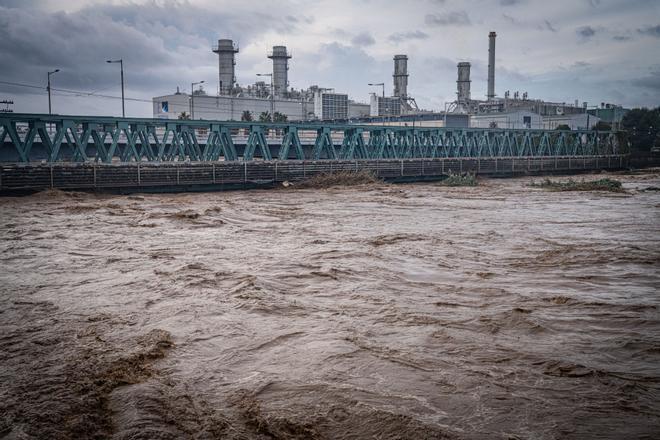 Un vídeo ecologista advierte del riesgo de tapón en la desembocadura del Besòs tras las lluvias: "Limpien ya"