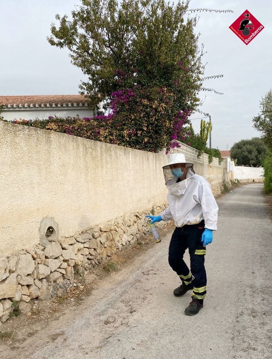 Los bomberos sellan un avispero próximo al polideportivo de l&#039;Alfàs-