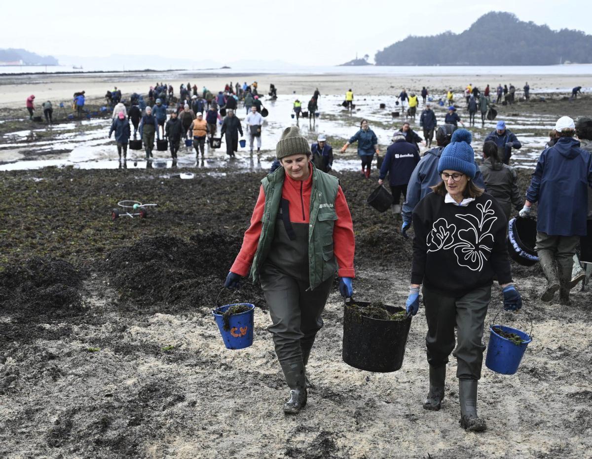 Las mariscadoras retiraron todo tipo de troncos, ramas y montones de hojas acumuladas en la playa con ayuda de varios camiones. | RAFA VÁZQUEZ