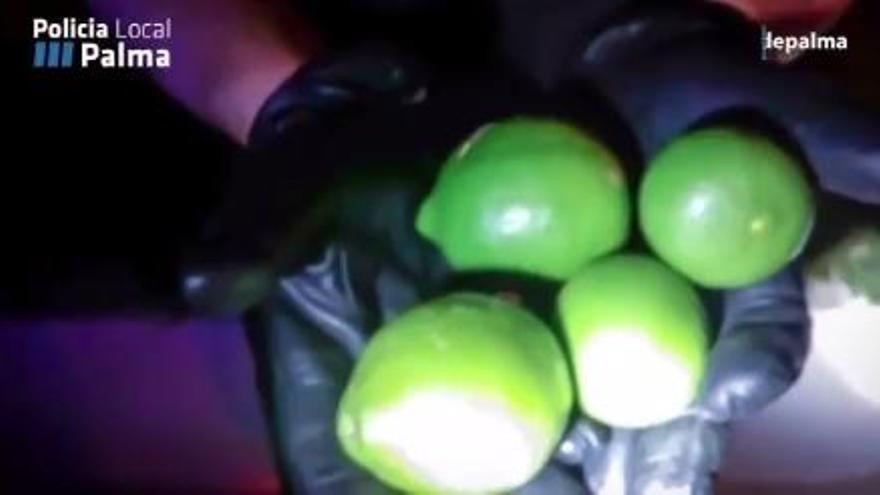 Sorprendidos robando cuatro limones en un chalé en s&#039;Arenal