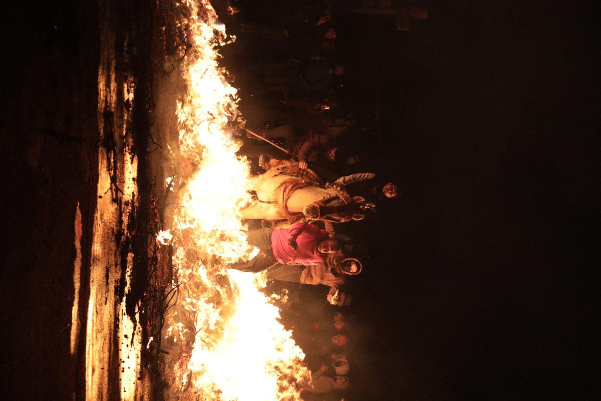 Las mejores fotos de la espectacular Matxà de Sant Antoni en Vilanova d'Alcolea