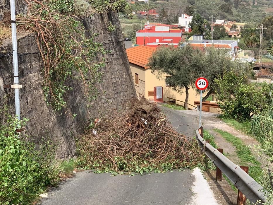 Incidencias en Santa Brígida