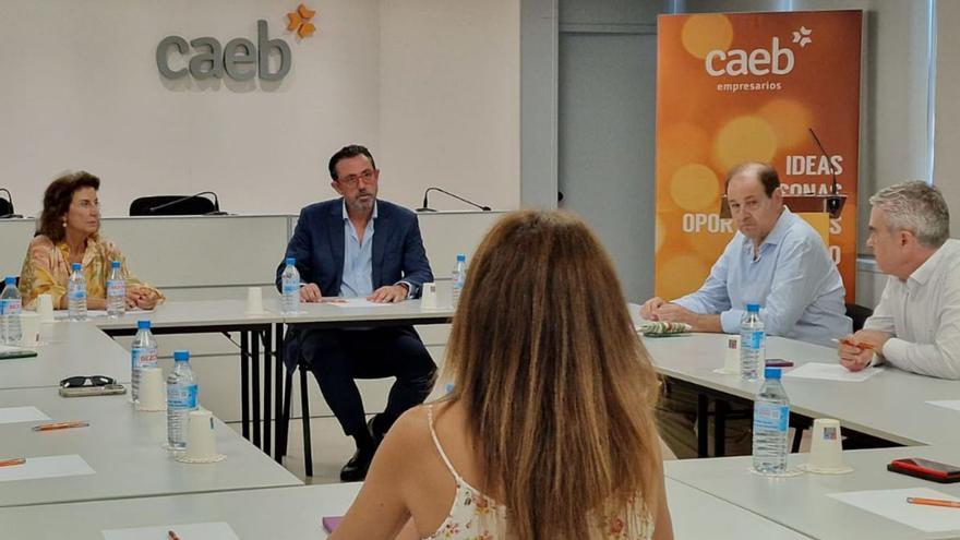 Carmen Planas y el consell, al fondo, durante la reunión celebrada en Palma. | CAIB