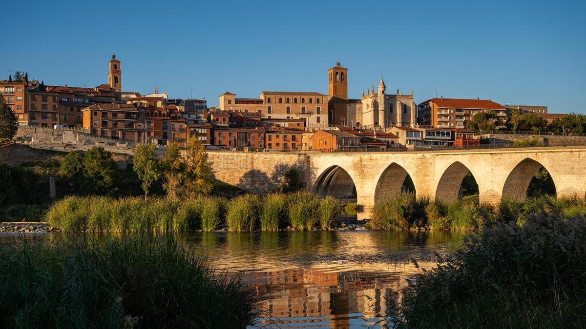 La comarca de Castilla y León donde el vino es el principal motor social