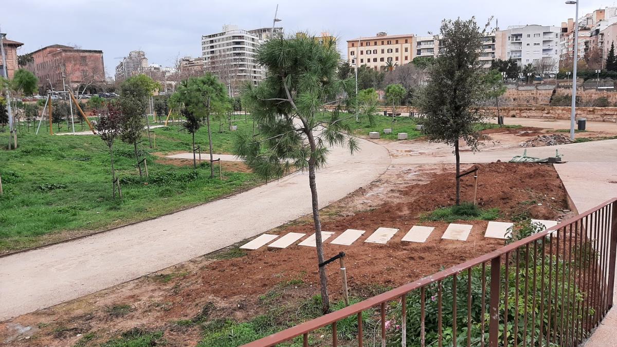 Cort prevé recepcionar las obras del canódromo este mes.