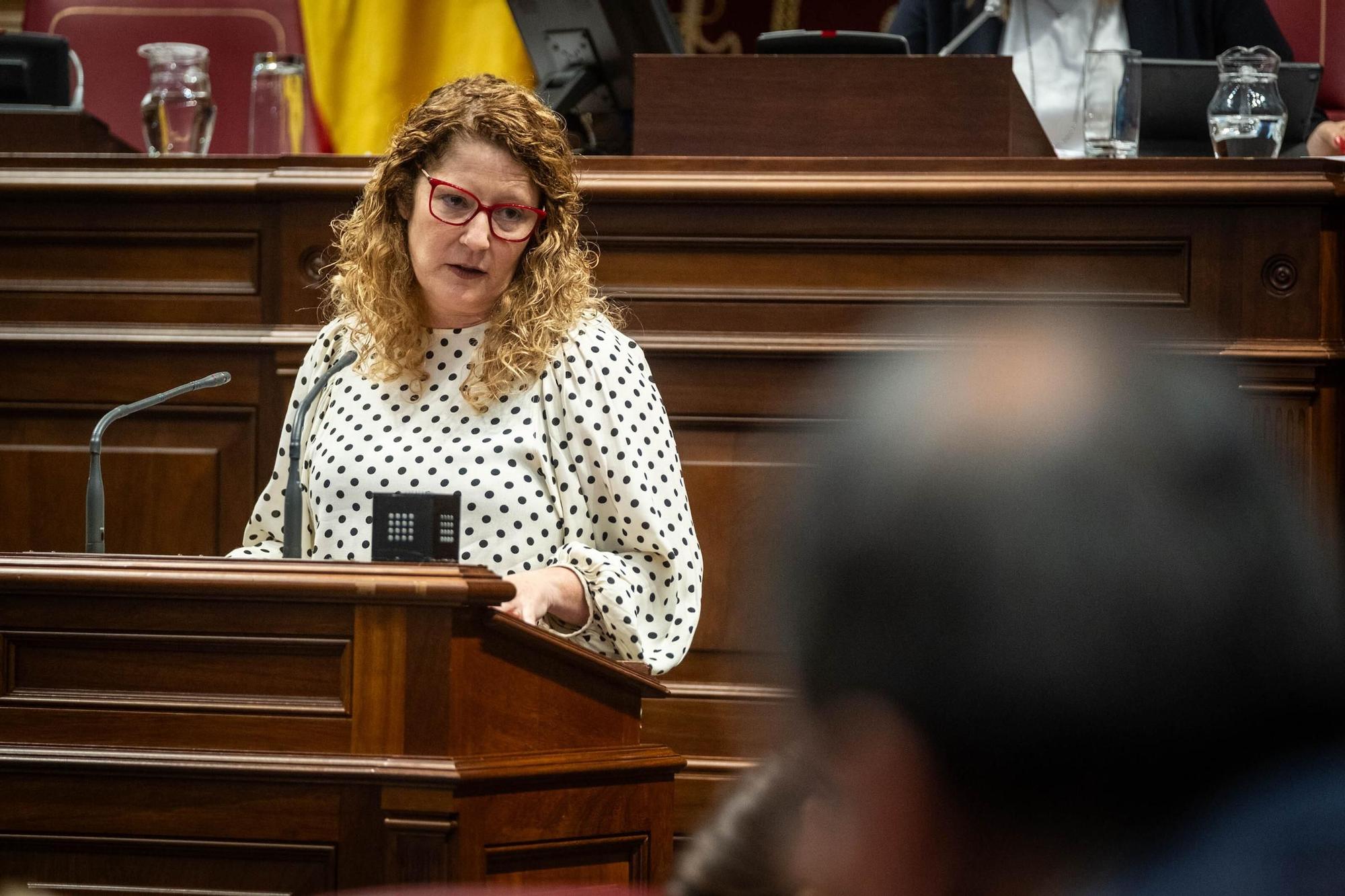 Pleno del Parlamento de Canarias