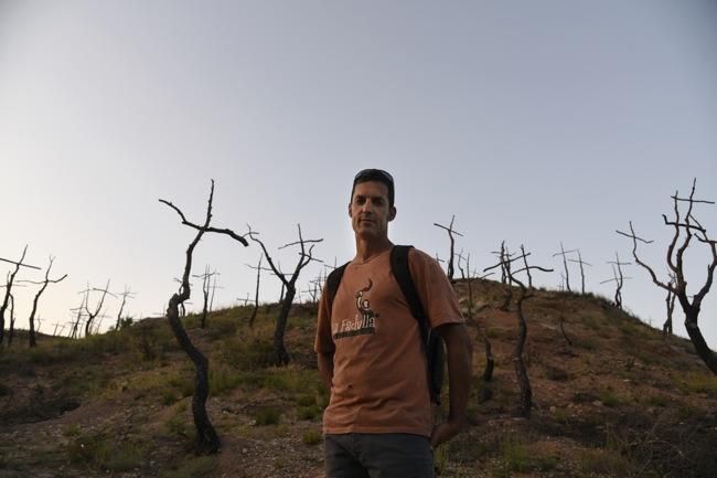 El bosc de les creus d'Òdena