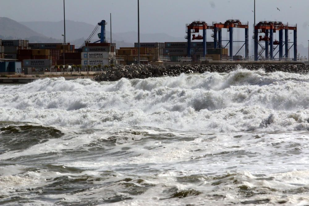 Málaga capital vive una jornada marcada por el fuerte viento, que ha afectado a playas y paseos marítimos y ha obligado a cortas las comunicaciones marítimas con Melilla.