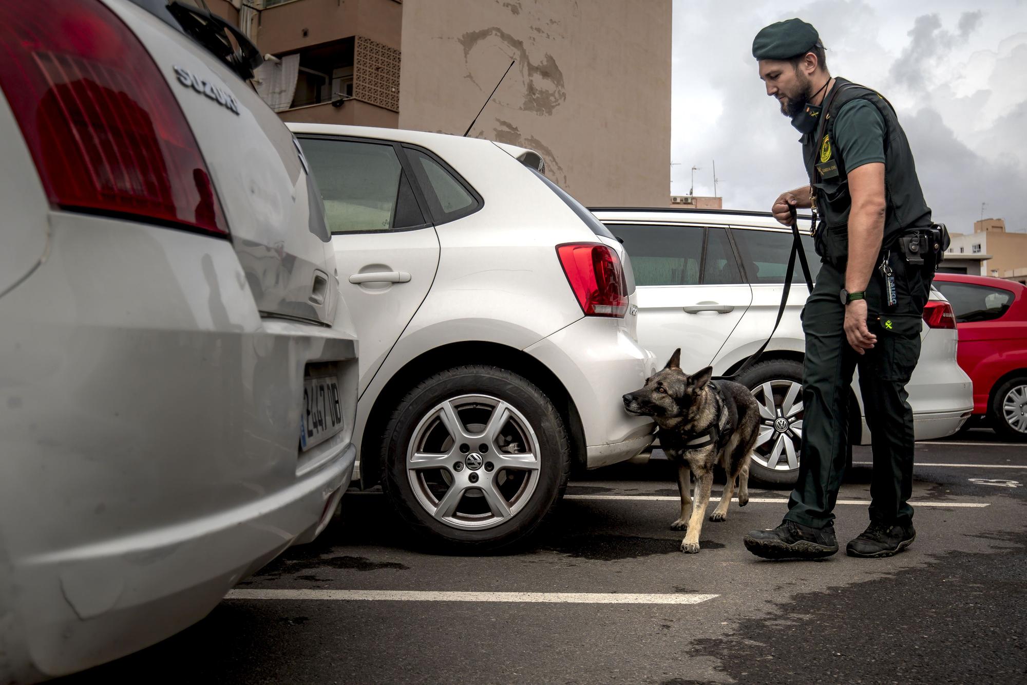 Unidad de Guías Caninos de la Guardia Civil