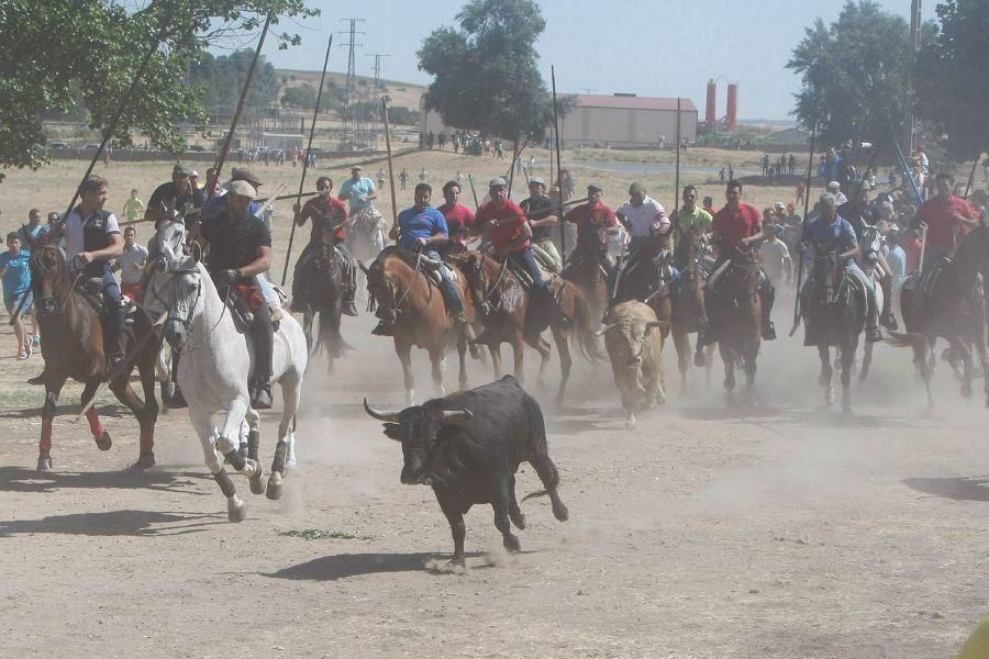 Fiestas en Zamora: Segudos espantes de Fuentesaúco