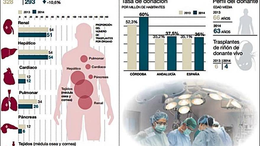 Córdoba dobla la tasa de donación de órganos de Andalucía y España