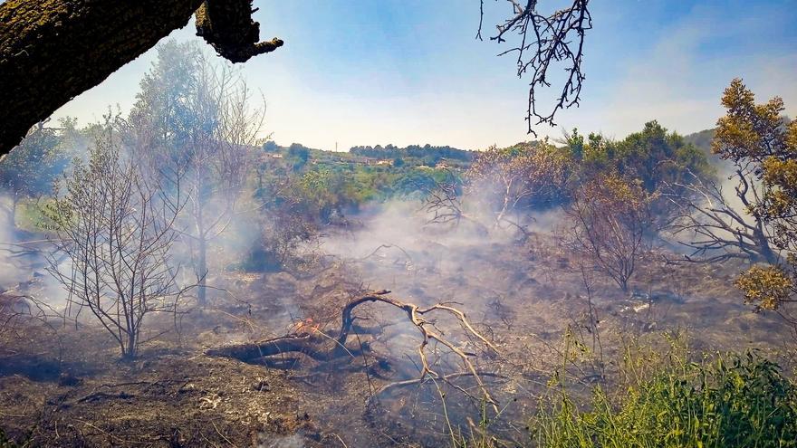 El incendio de vegetación en Jérica, estabilizado