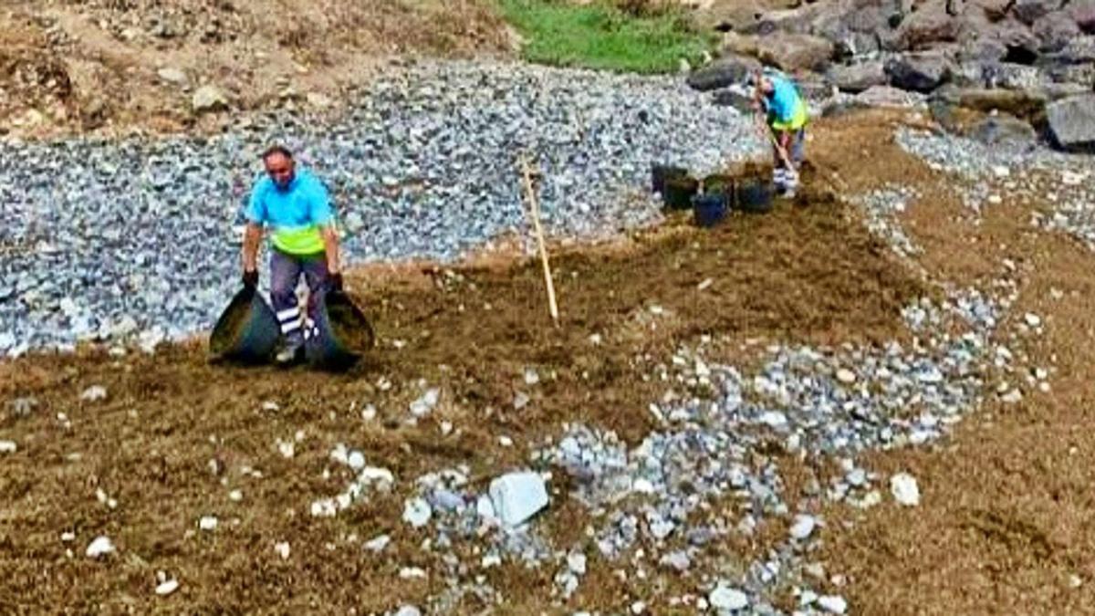 Sin seba en la costa del cono sur | AYUNTAMIENTO LPGC