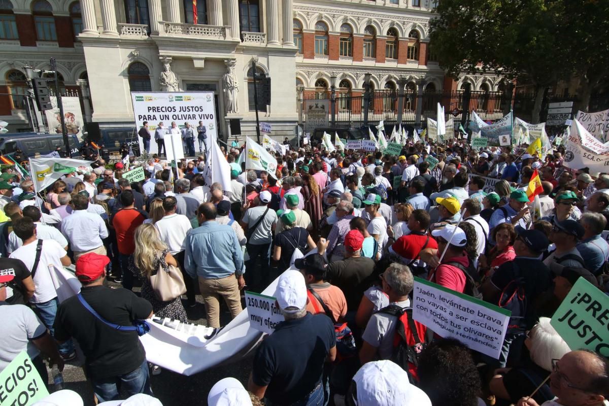 Córdoba se suma a la gran manifestación del olivar en Madrid