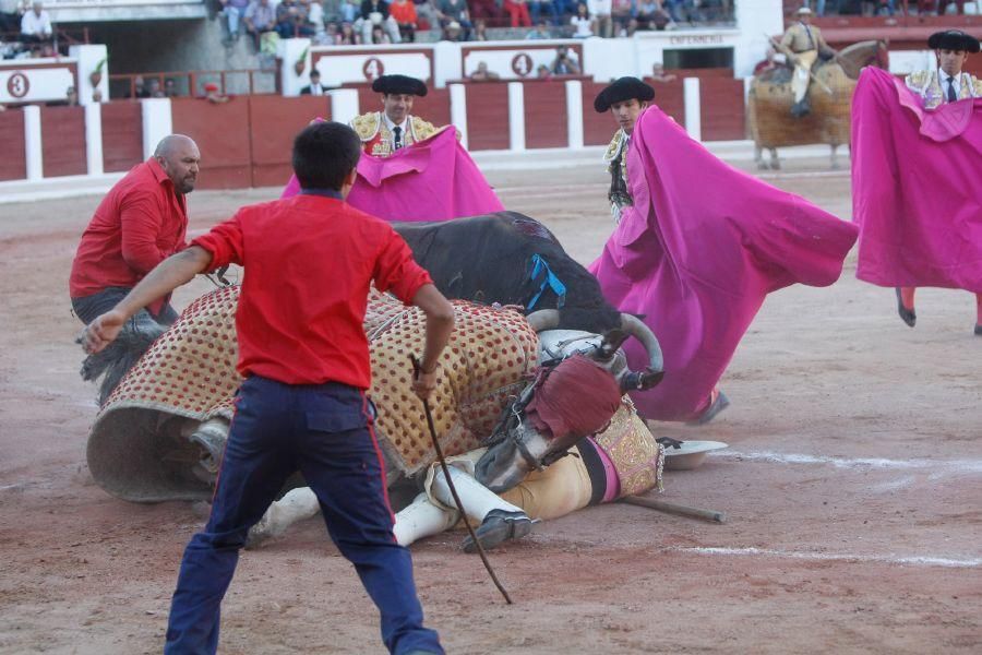 Toros en Zamora