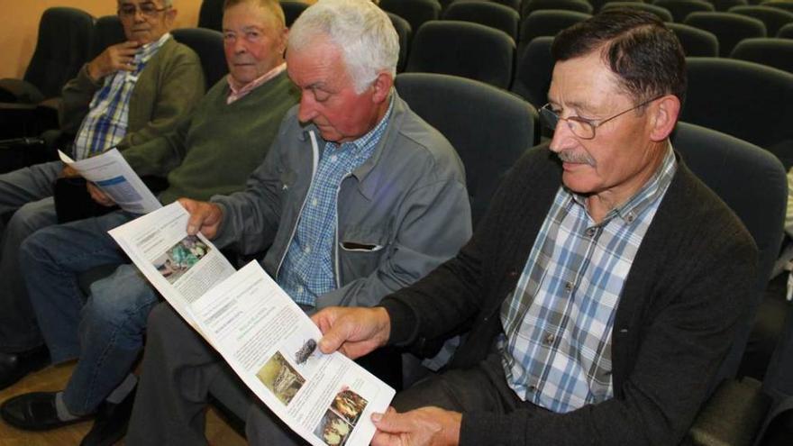 Los santirseños Antonio Fernández y José Fernández, ayer, leyendo la hoja informativa sobre la polilla.