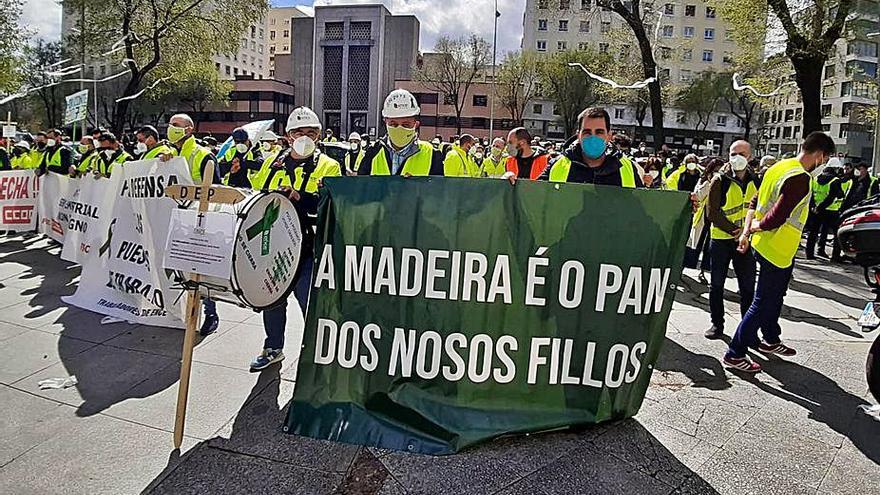 El sector forestal estuvo presente en la movilización. |   // CEDIDA