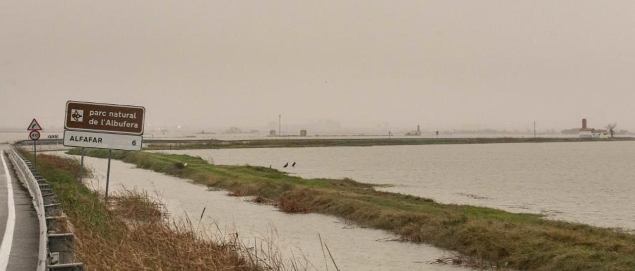 Panorámica del Parc Natural de l&#039;Albufera que hace una semana rebasó su nivel habitual por las fuertes lluvias.