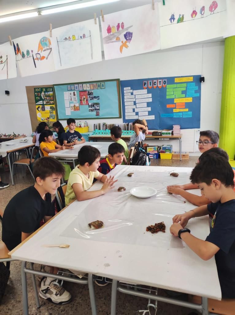 Projecte de l'Escola Monseyor Gibert de Sant Fruitós amb la col verda manresana