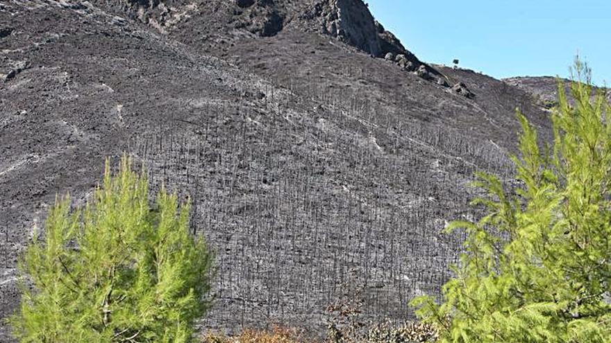 Cicatrices que quedan once años después | PERALES IBORRA