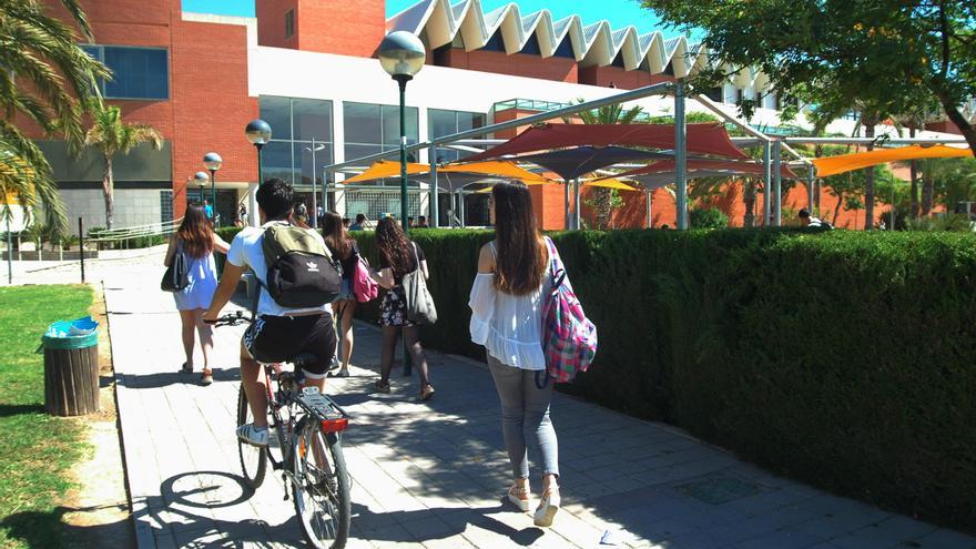 La UMH, líder de las universidades valencianas en egresados que trabajan en puestos acordes a sus estudios
