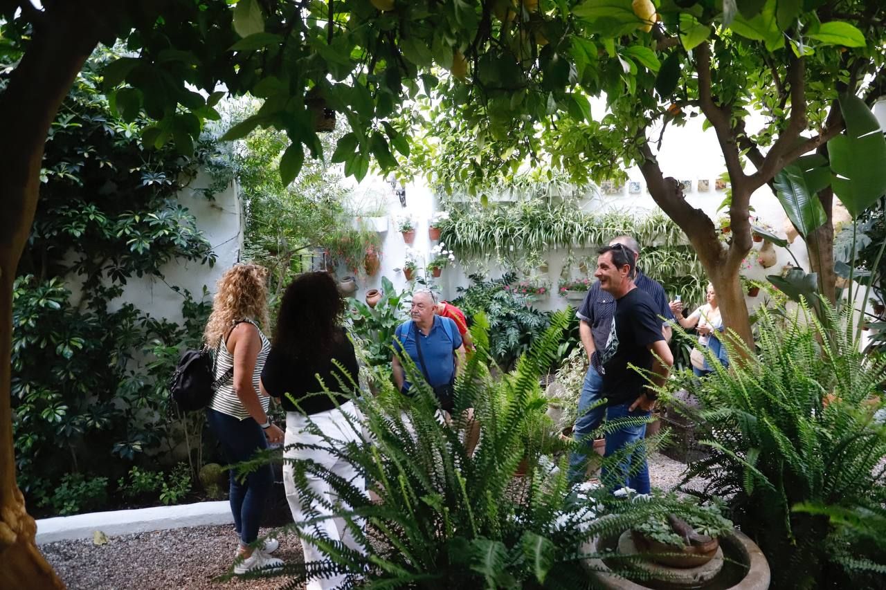 Los Patios galardonados