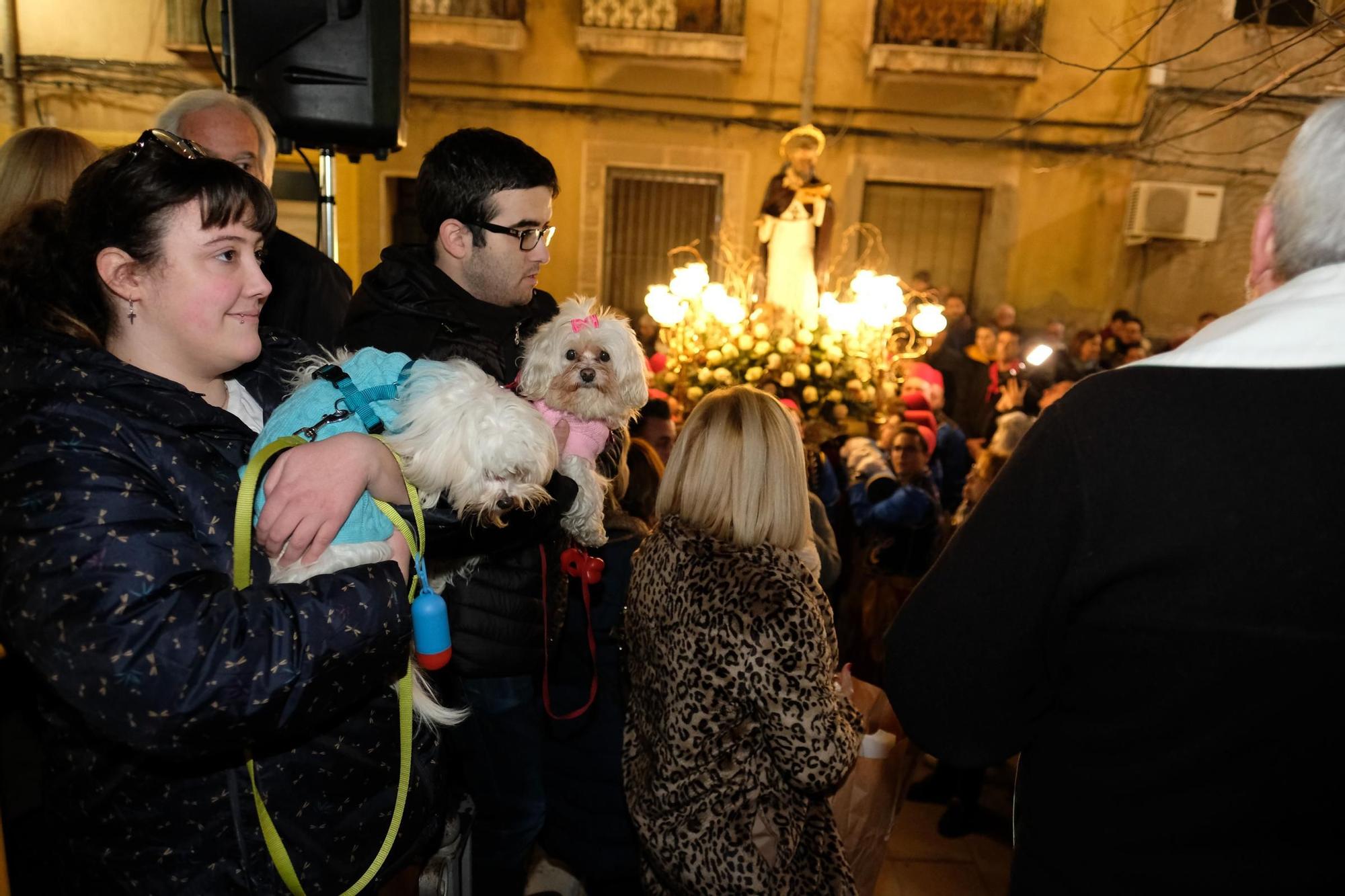 Así fue la última media fiesta de Elda el día de San Antón de 2020 dos meses antes de irrumpir la pandemia de Covid-19