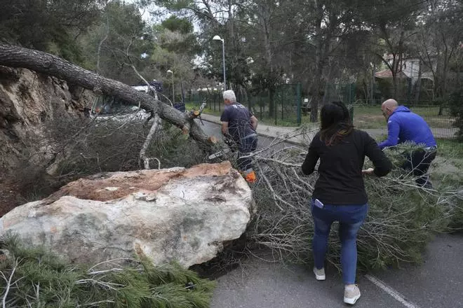 Una piedra de gran tonelaje ha impedido el acceso a Santo Espíritu en Gilet