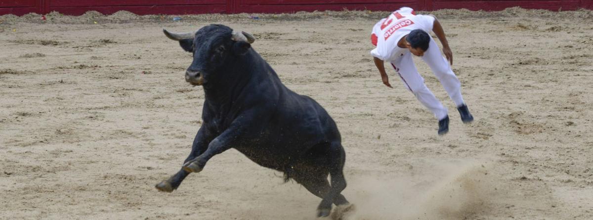 Uno de los saltos que se sucedieron durante la lidia de los cinco novillos. | J. A. G.