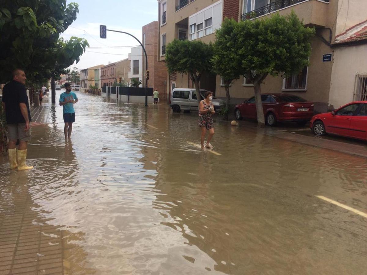 Gota fría en la Vega Baja: Los agricultores cifran en 550 millones las pérdidas en el campo de la provincia de Alicante