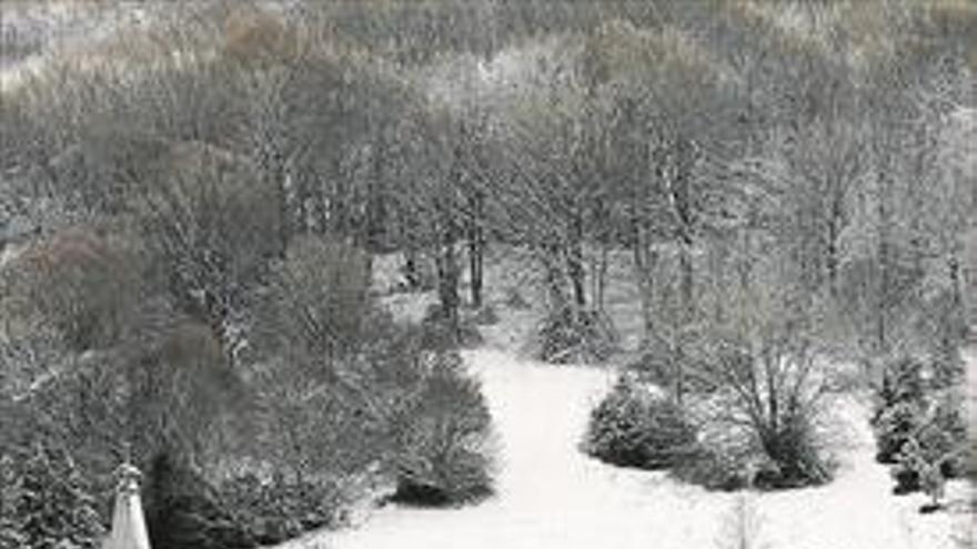 Alerta de intensas nevadas en el norte de España y de fuertes oleajes