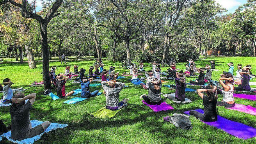 Yoga en pleno bosque.