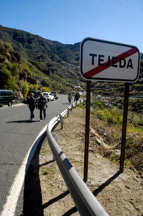 FIESTAS DEL ALMENDRO EN FLOR TEJEDA