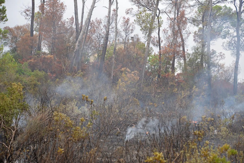 Controlado otro incendio forestal en un pinar en Marratxinet