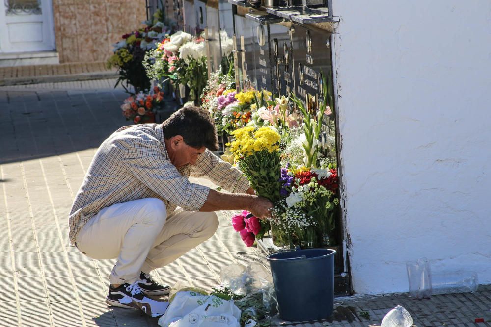 Visita al cementerio de Torrevieja en Todos los Sa