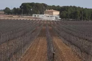 Els Alforins pide dinamizar el territorio además de proteger el paisaje