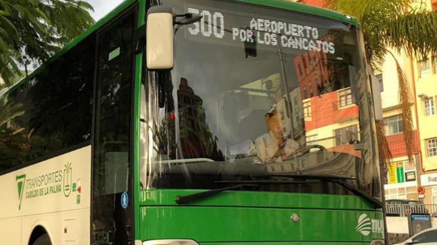 A concurso la actualización del proyecto de la estación de guaguas de la capital palmera