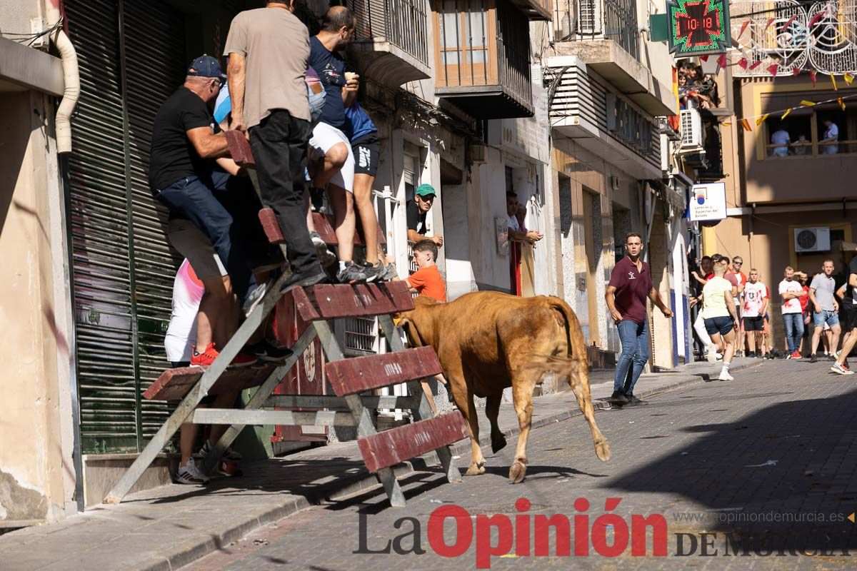 Primer encierro Fiestas de Moratalla