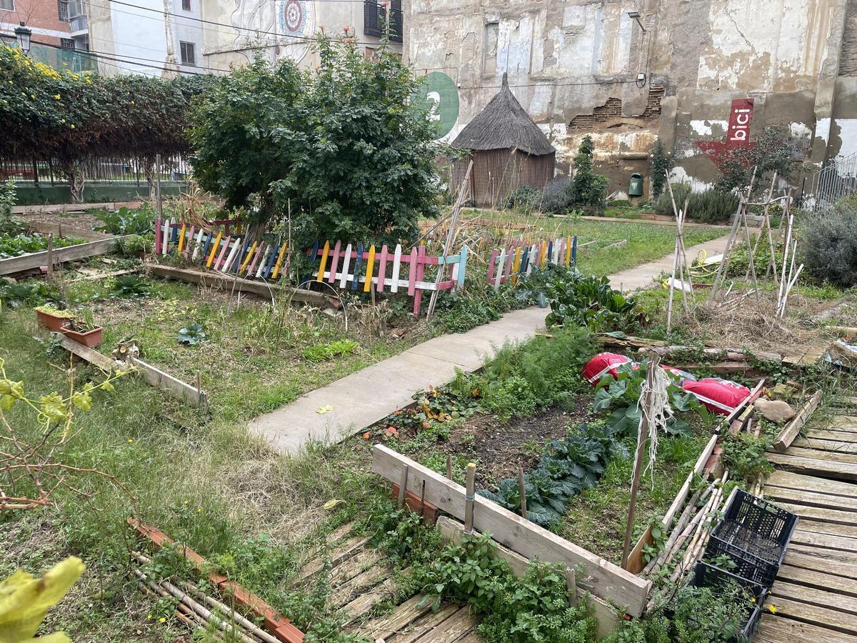 Los huertos de la calle Las Armas siguen dando sus frutos.