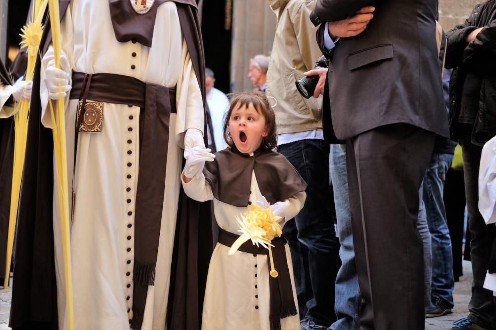 Procesión del Domingo de Ramos en Palma