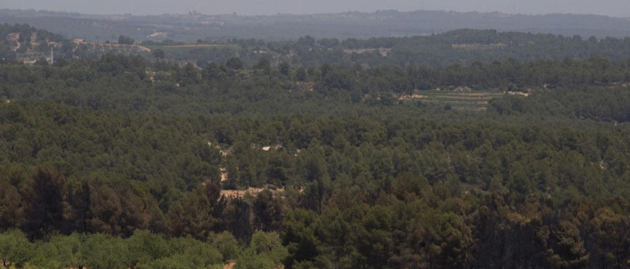 Panorámica del Parc Natural Hoces del Cabriel, reserva de la biosfera